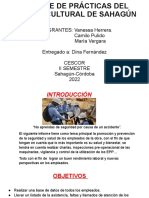 Informe de Practicas