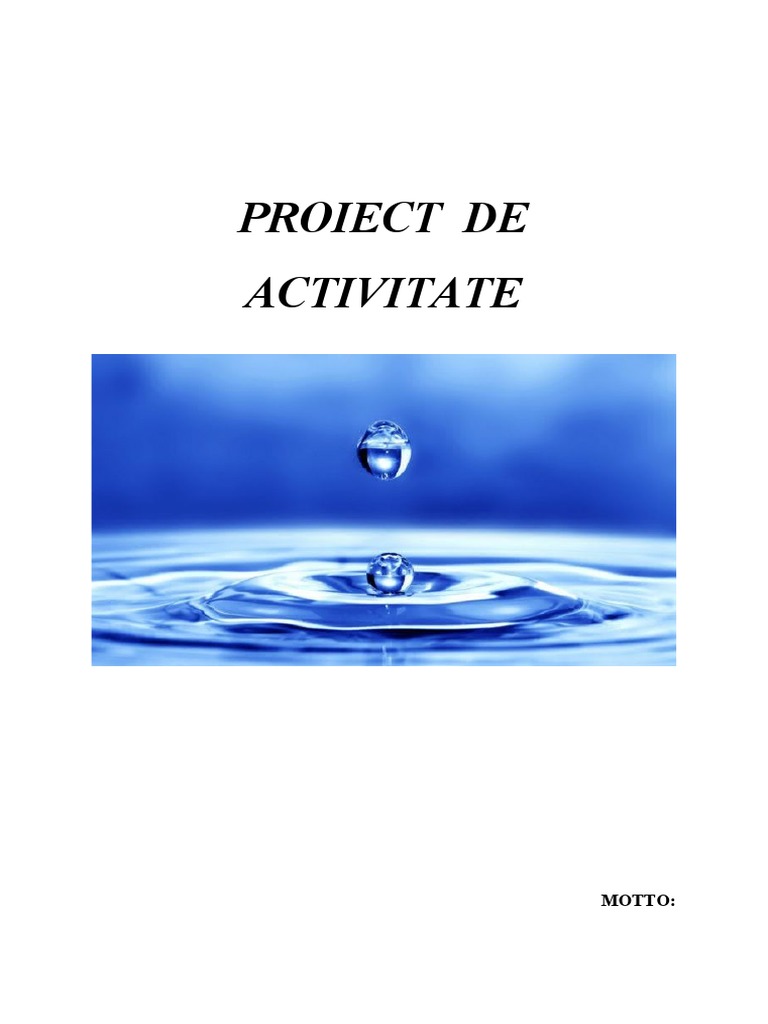 Proiect APA | PDF