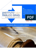 Brochure Diplomado IBIS