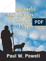6908 - Pastoreando Las Ovejas en Iglesias Pequeñas