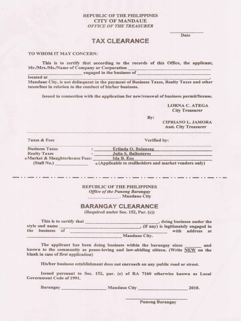 city-of-mandaue-renewal-of-permit-pdf