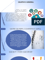 Matriz Perfil Competitivo MPC