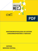 Sistema Nervoso: Estrutura e Funções