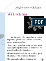4 Bacterias 1