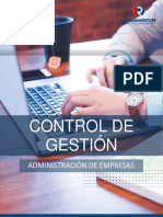 Control de Gestion 2020