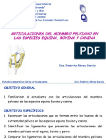 Art. y Ligamentos Comparado Posterior-2012