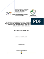 Evaluación del efecto de la moringa en pollos parrilleros