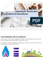 Generalidades en El Gas Natural