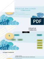 Struktur Dan Jaringan Tumbuhan