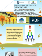 3.2 Taxonomia de - Boulding