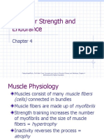 chap04.pptMUSCULAR SYSTEM