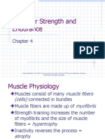 Muscular Strength and Endurance