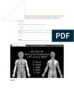 Articulaciones Contenido Preguntas y Test