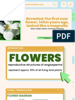 Revealed The First Ever Flower, 140 M Years Ago, Looked Like A Magnolia