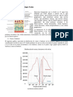 Cátedra 7 Fisiología e Histología Ocular