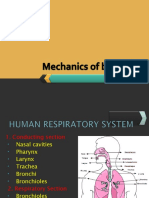 Instrumentation For Respiratory Mechanics