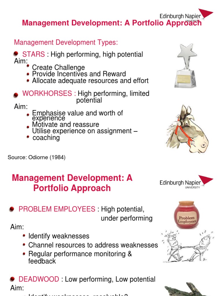 Management Development Strategies Explained | PDF