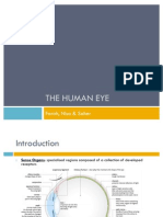 A2 Biology Unit 5 - The Eye Presentation