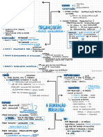 Características do Estado Federado Brasileiro