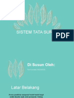 Sistem Tata Surya - Feri Kurniadi - 190204035