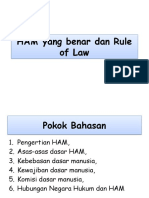 HAM Yang Benar Dan Rule of Law