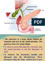 Common Bile Duct