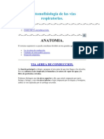 Anatomofisiología de Las Vías Respiratorias