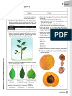 Evaluación de contenidos sobre las partes y características de las plantas