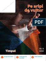 Pe Aripi de Vultur Nr.6 - Timpul