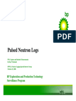 BP - Pulsed Neutron Logs