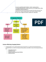 Cropping Pattern