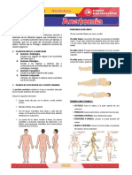 Anatomia Semana 1