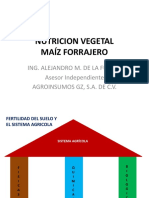 Nutricion Vegetal Maiz Forrajero
