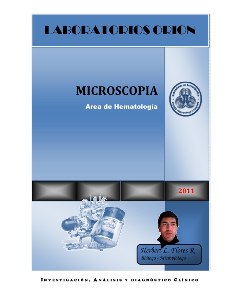 Modelo de Informe - Caratula | PDF