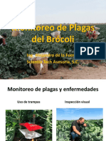 Monitoreo de Plagas Del Brócoli