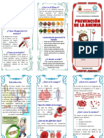 Triptico Anemia Unat