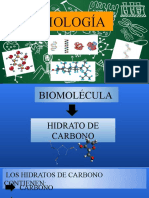 Hidrato de Carbono