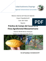 Práctica de campo del cacao en la Finca Agroforestal Mesoamericana