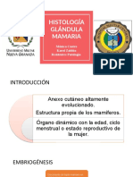 Histología glándula mamaria