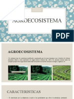 Agroecosistema 3