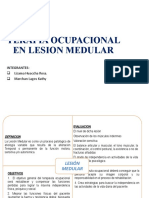 Lesion Medular y Silla de Ruedas