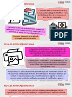 Ficha de Notificação Do Sinan