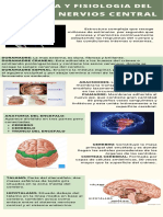 Anatomia y Fisiologia Del Sistema Nervioso Central