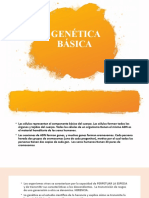 Genetica Basica