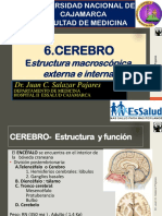 6-CerebroI - Estruc Macroscpica-2018