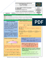 Guia N5 Matematicas 8