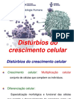 Aula 4 - Disturbios Crescimento Celular 2022 1