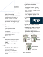 Musculoskeletal NOTES 2