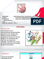 Bases Moleculares II