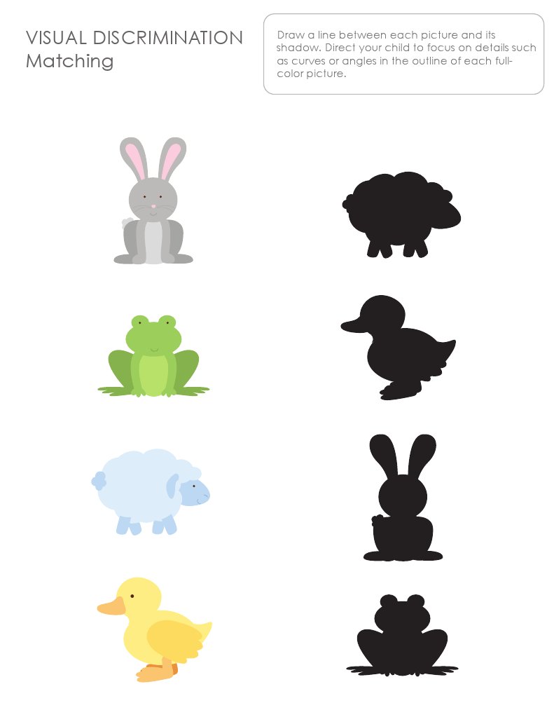 Visual Discrimination: Beginning/Intermediate | PDF